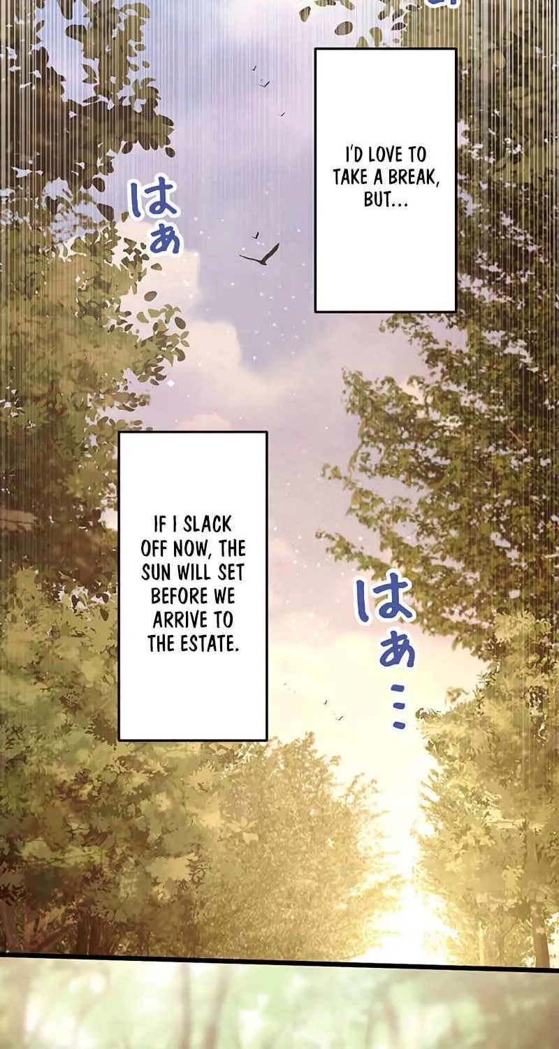 I Have No Intention of Returning to You! Chapter 45 page 46 - 