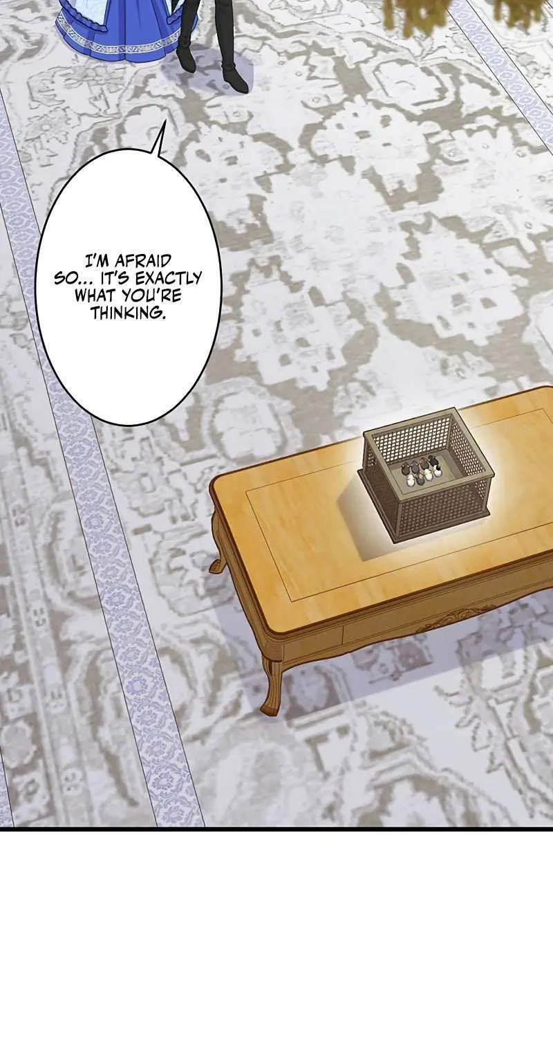 I Have No Intention of Returning to You! Chapter 46 page 49 - 