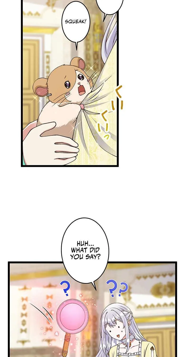 I Have No Intention of Returning to You! Chapter 49 page 17 - 
