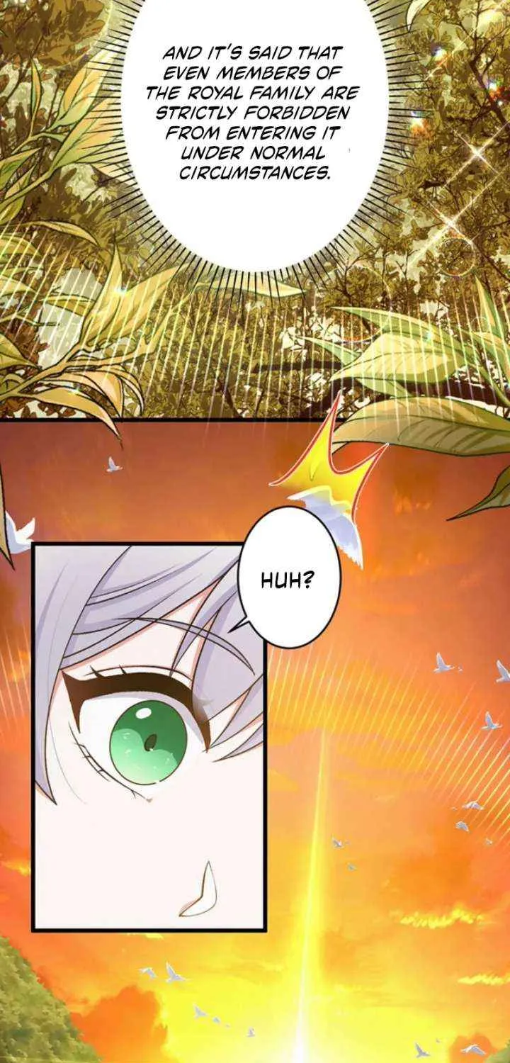 I Have No Intention of Returning to You! Chapter 52 page 70 - 