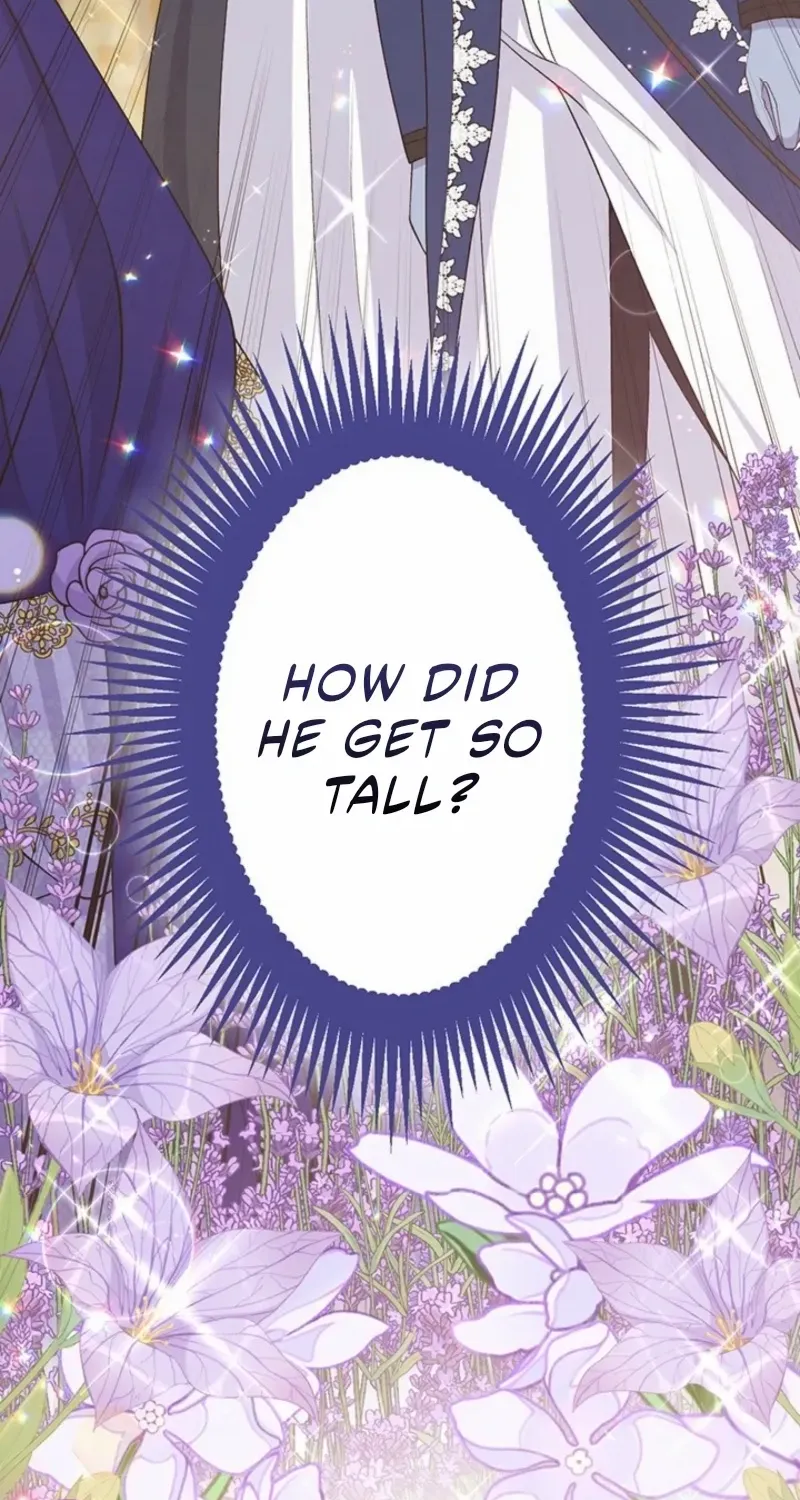 I Have No Intention of Returning to You! Chapter 55 page 74 - 