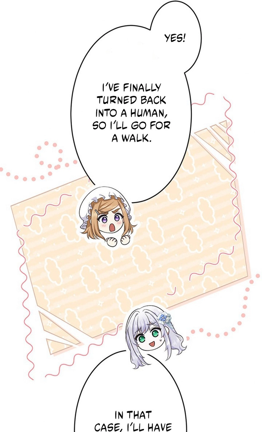 I Have No Intention of Returning to You! Chapter 88 page 69 - 