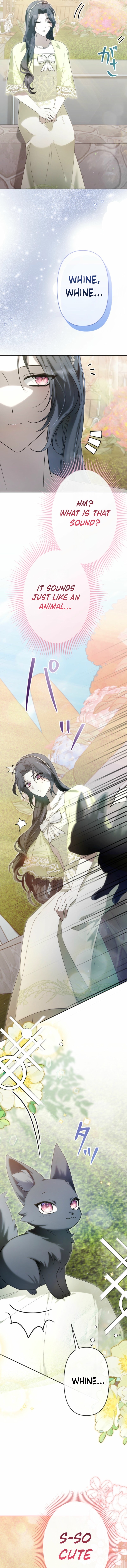 I Have Six Months to Live, But I’ve Captivated the Tyrant Emperor Chapter 16 page 6 - 