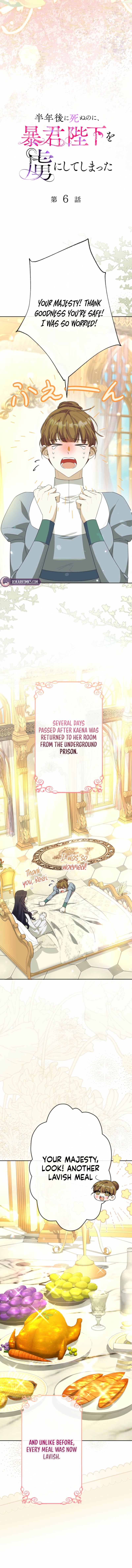 I Have Six Months to Live, But I’ve Captivated the Tyrant Emperor Chapter 6 page 11 - 