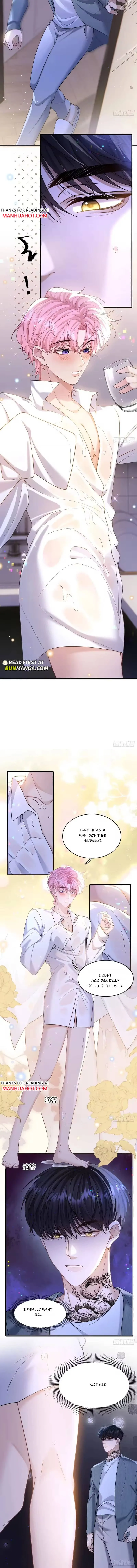 I Insist on Deceiving Chapter 24 page 2 - 