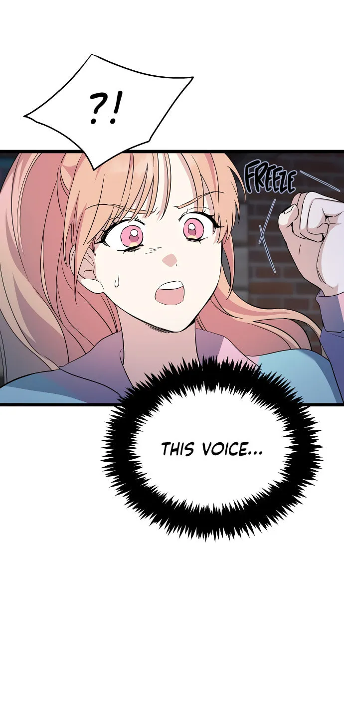 I Just Want to Be a Normal Idol Chapter 1 page 63 - 