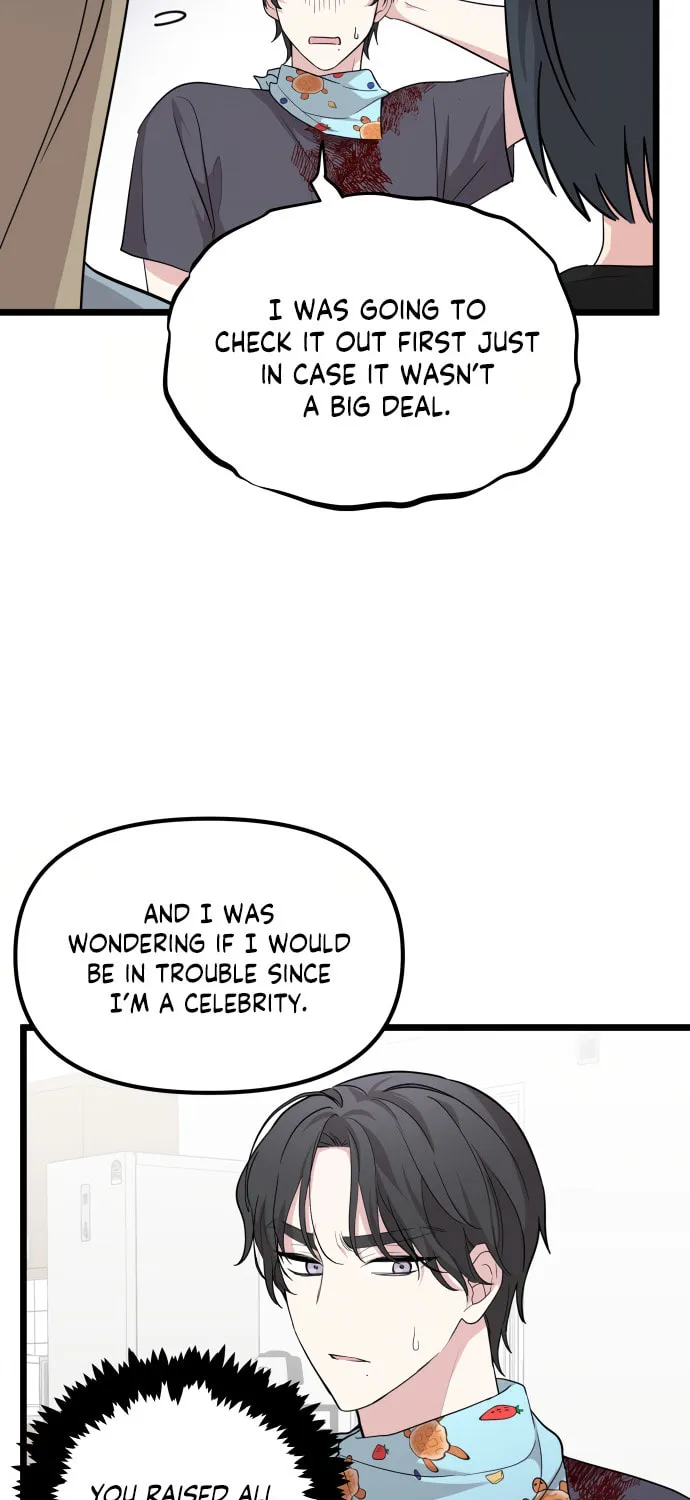 I Just Want to Be a Normal Idol Chapter 2 page 42 - 