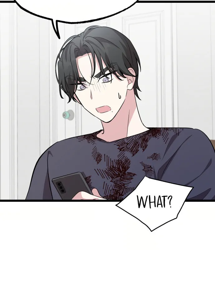 I Just Want to Be a Normal Idol Chapter 4 page 24 - 