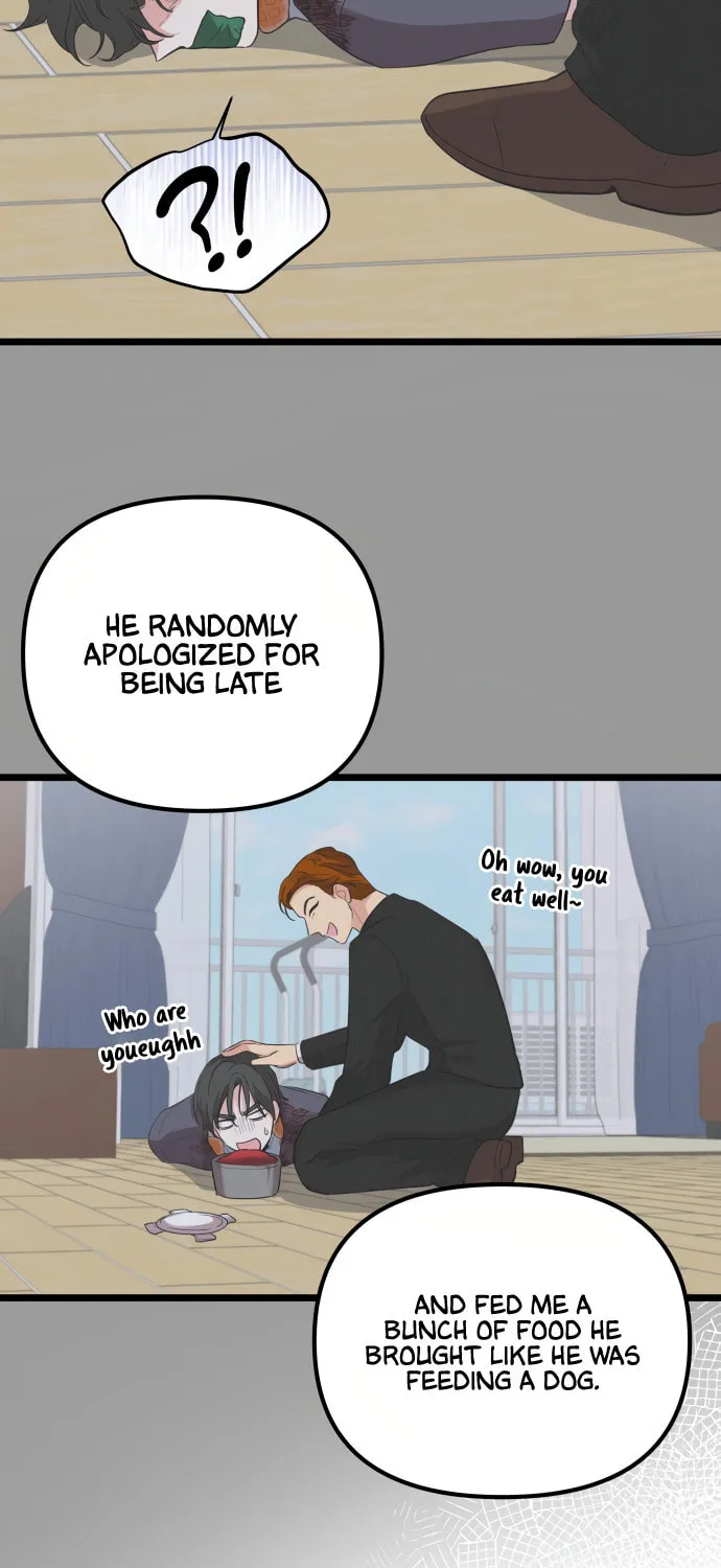 I Just Want to Be a Normal Idol Chapter 4 page 9 - 