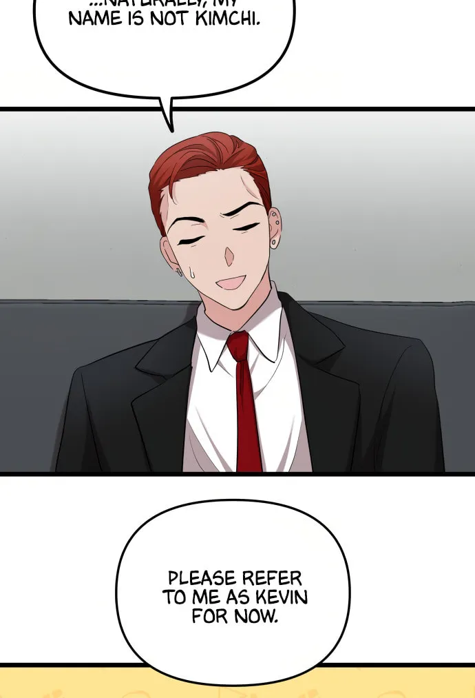 I Just Want to Be a Normal Idol Chapter 5 page 18 - 