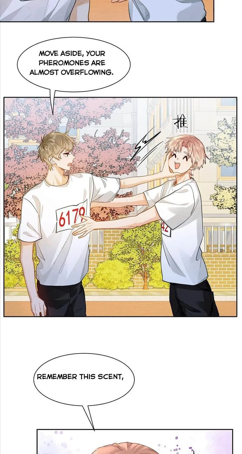 I Like Your Pheromones Chapter 33 page 5 - 