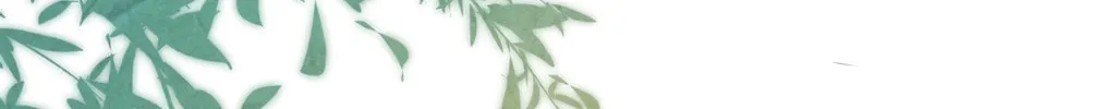 I Like Your Pheromones Chapter 5 page 85 - 