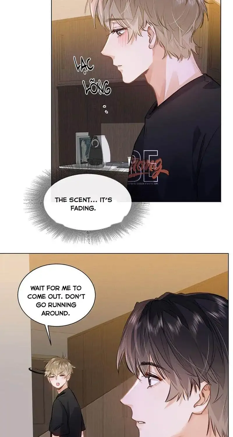I Like Your Pheromones Chapter 62 page 25 - 
