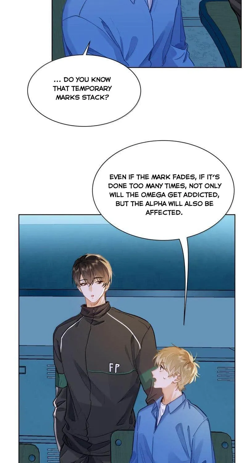 I Like Your Pheromones Chapter 65 page 35 - 