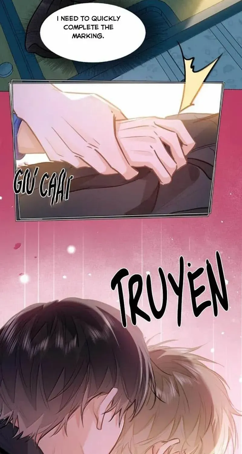 I Like Your Pheromones Chapter 66 page 11 - 