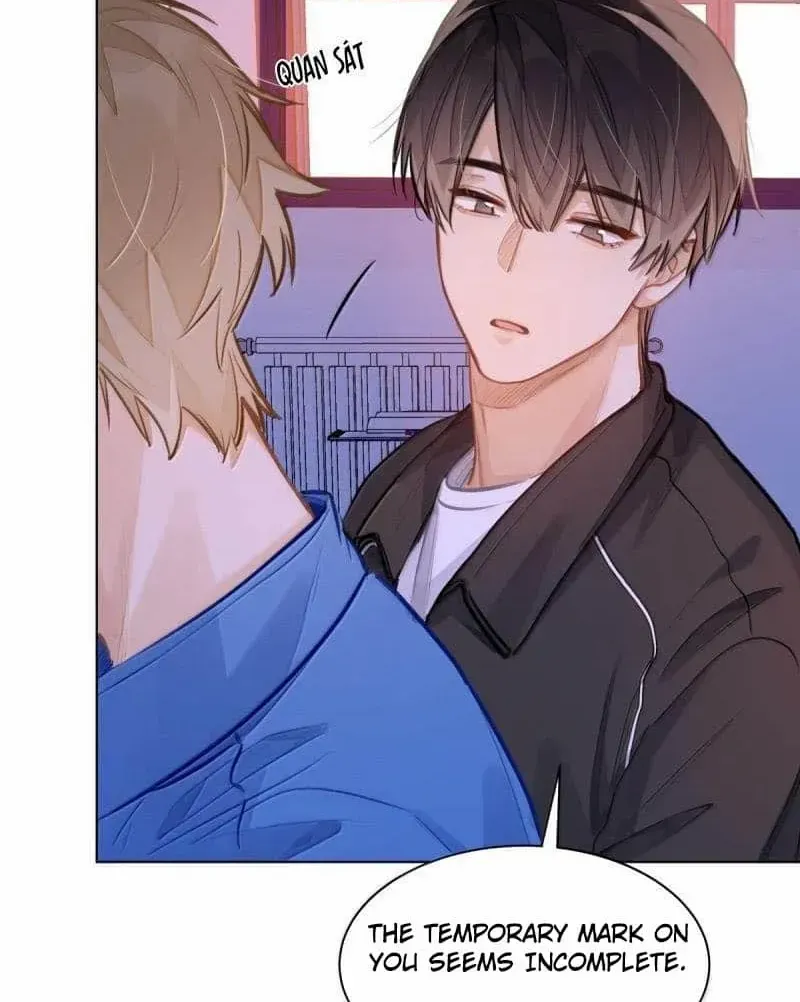 I Like Your Pheromones Chapter 67 page 32 - 