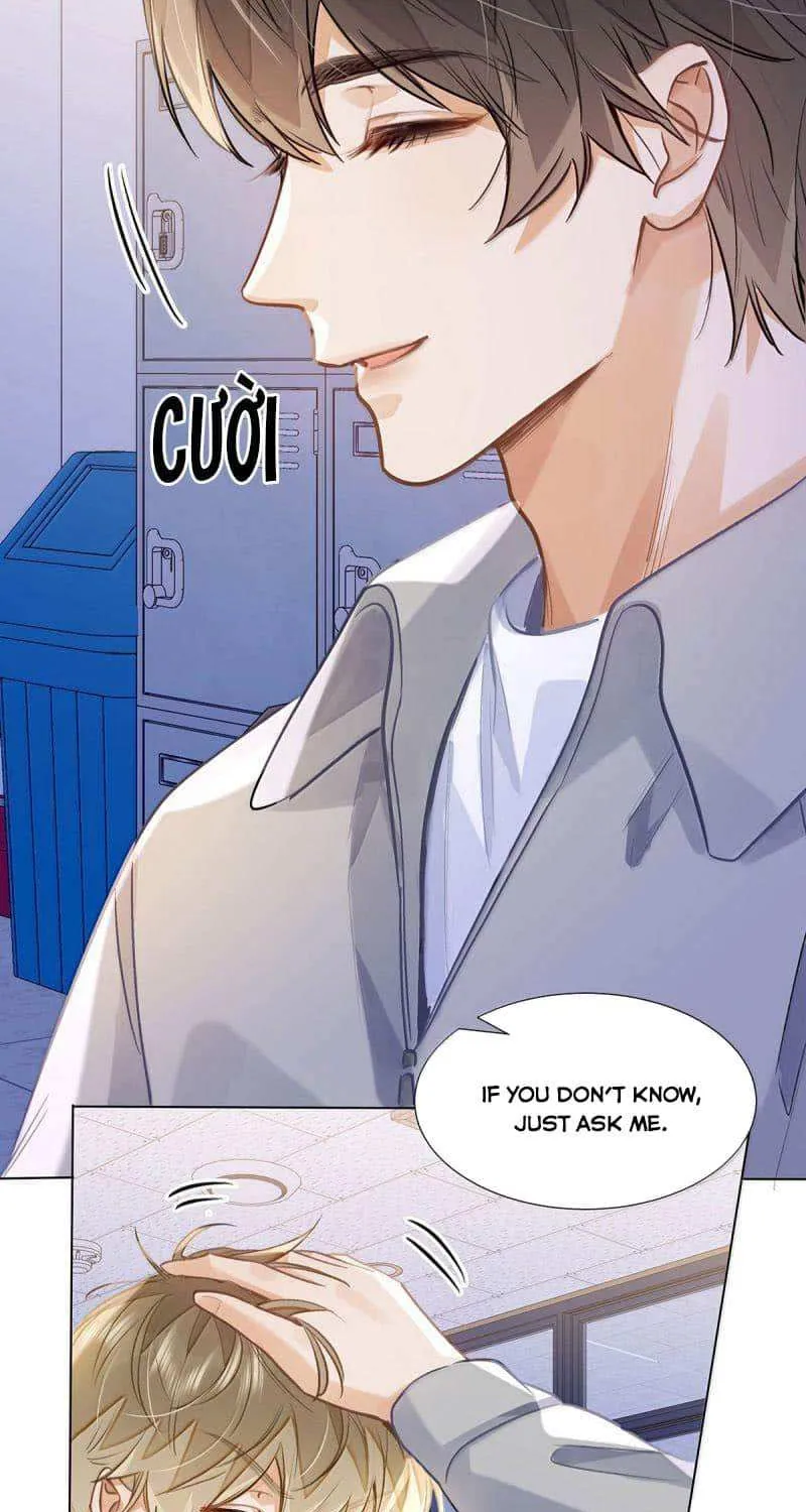 I Like Your Pheromones Chapter 79 page 8 - 