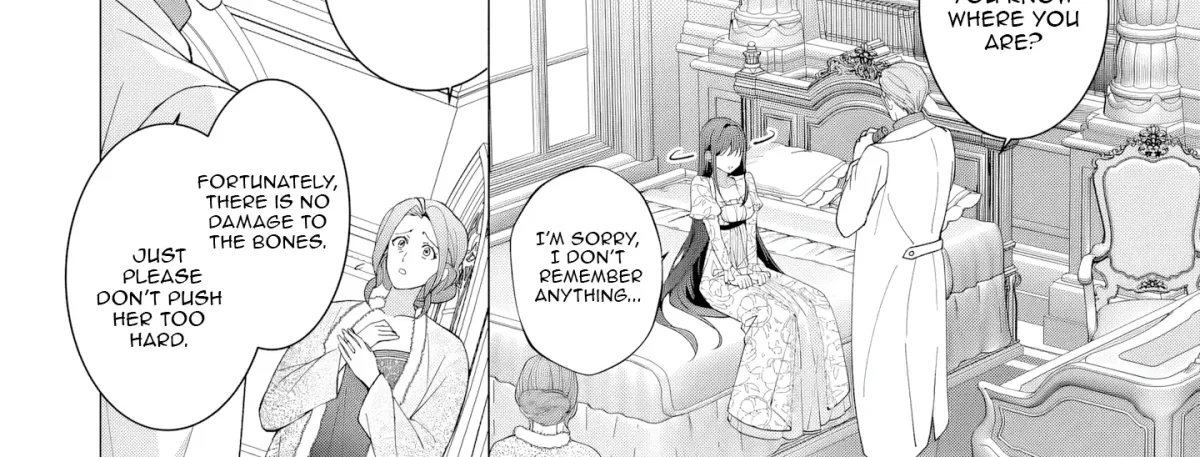 I Lost My Memories, so Did My Feelings for You Chapter 1 page 17 - 