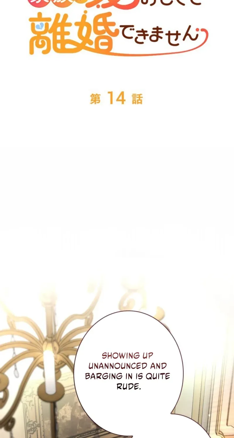 I Love My Family Too Much to Get a Divorce Chapter 14 page 14 - 