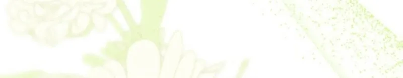I Love My Family Too Much to Get a Divorce Chapter 24 page 88 - 