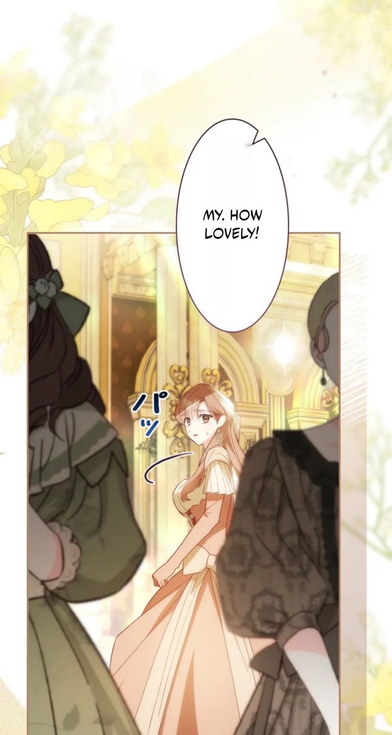 I Love My Family Too Much to Get a Divorce Chapter 27 page 47 - 