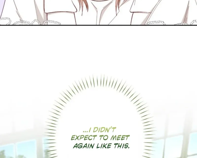 I Love My Family Too Much to Get a Divorce Chapter 3 page 15 - 