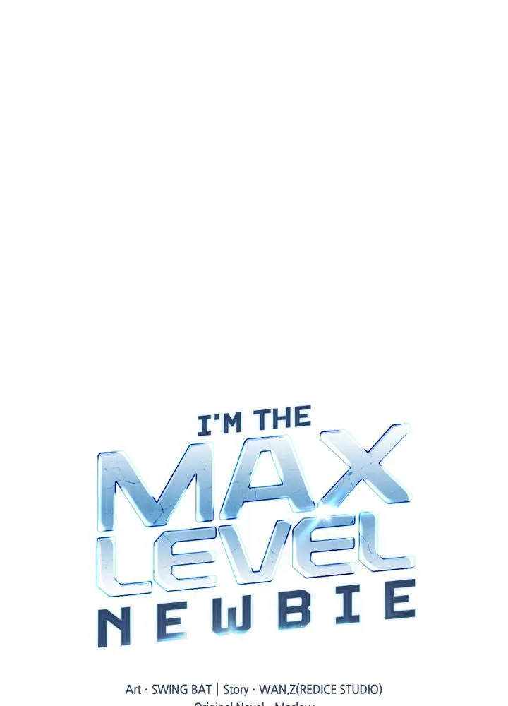I’m the Max-Level Newbie Chapter 2 page 1 - 