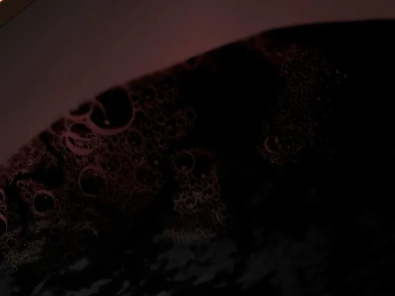 I’m the Queen in This Life Chapter 185 page 22 - 