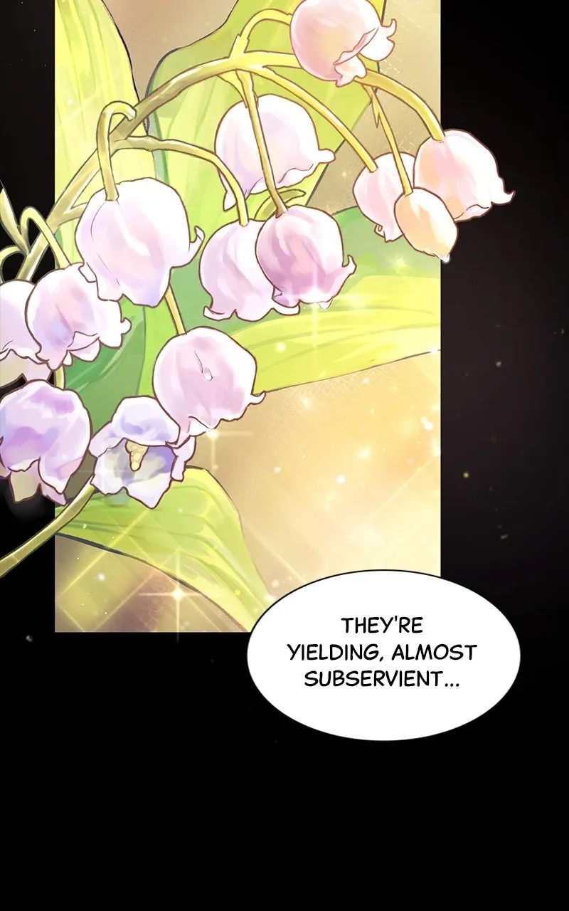 I’m the Queen in This Life Chapter 2 page 7 - 