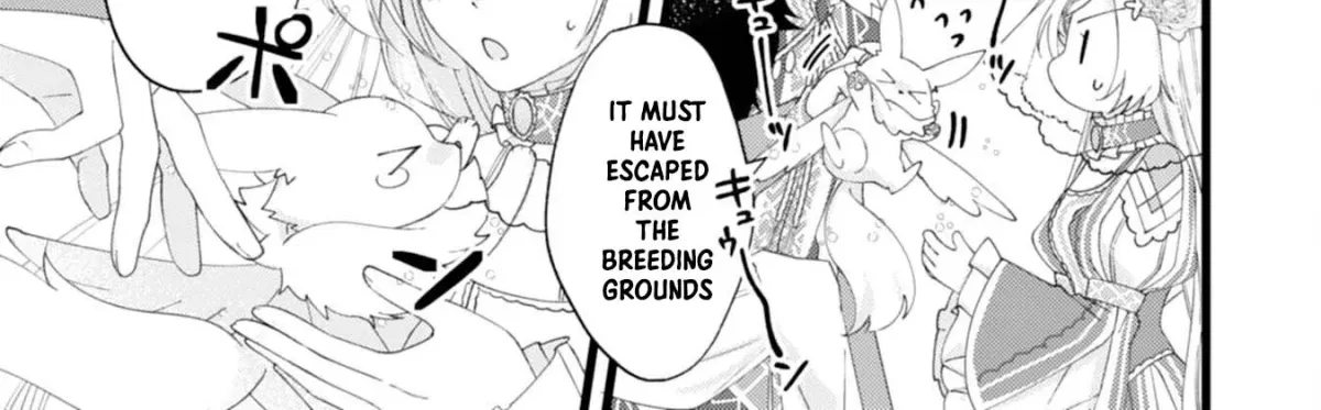 I Married the Coldhearted Beastman Prince as a Substitute, and He Doted on Me as His Mate. Chapter 2 page 9 - 