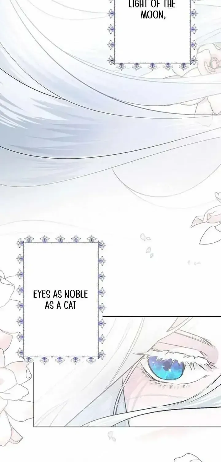 I Need to Raise My Sister Properly Chapter 1.3 page 2 - 