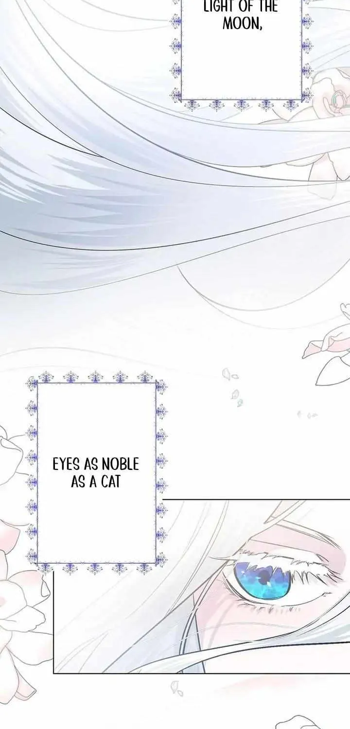 I Need to Raise My Sister Properly Chapter 1 page 3 - 