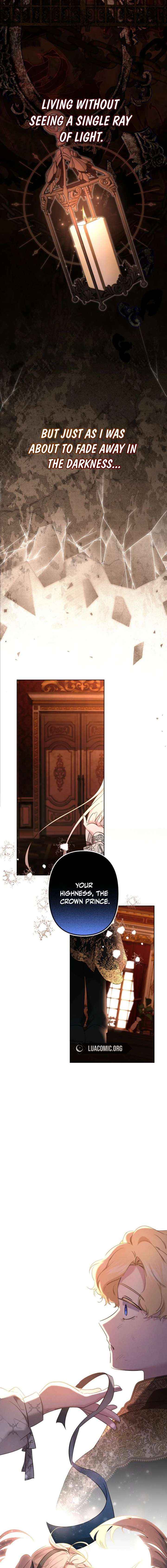 I Need to Raise My Sister Properly Chapter 141 page 3 - 