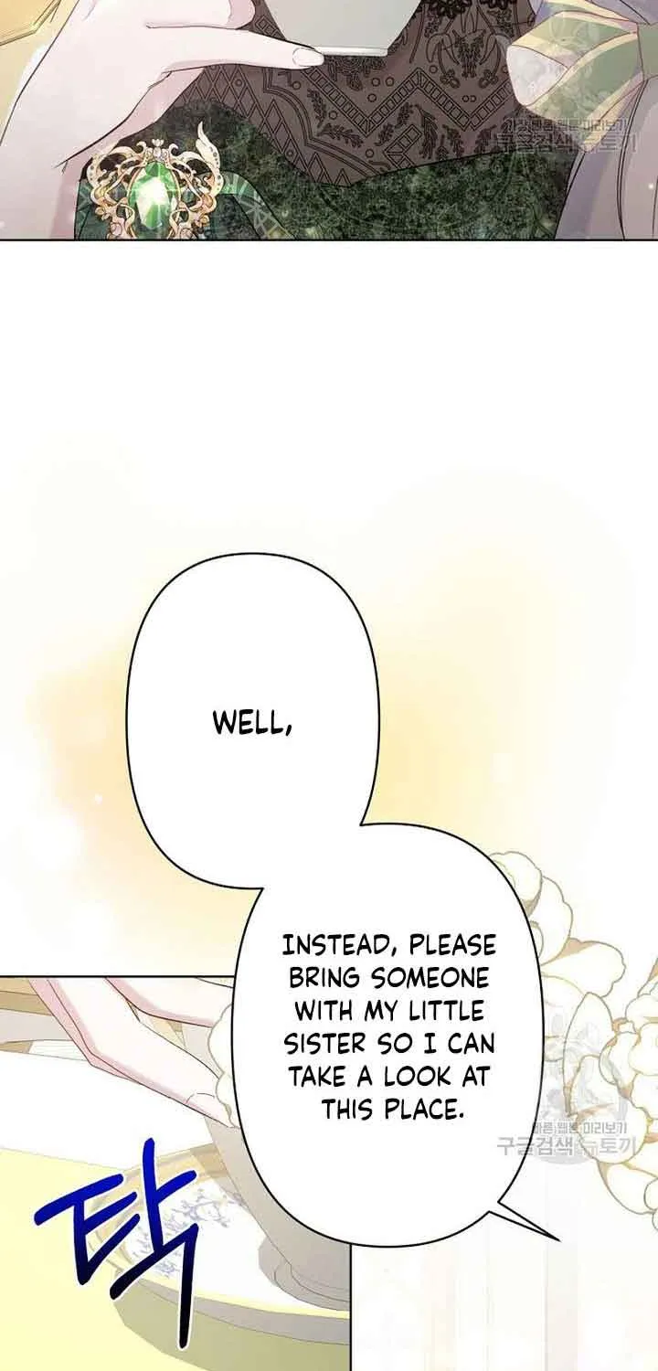 I Need to Raise My Sister Properly Chapter 15 page 19 - 