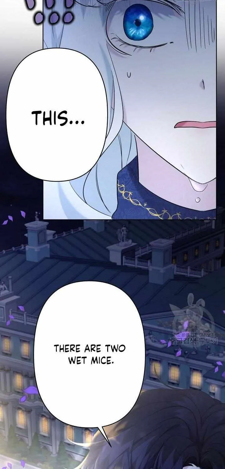I Need to Raise My Sister Properly Chapter 17 page 64 - 