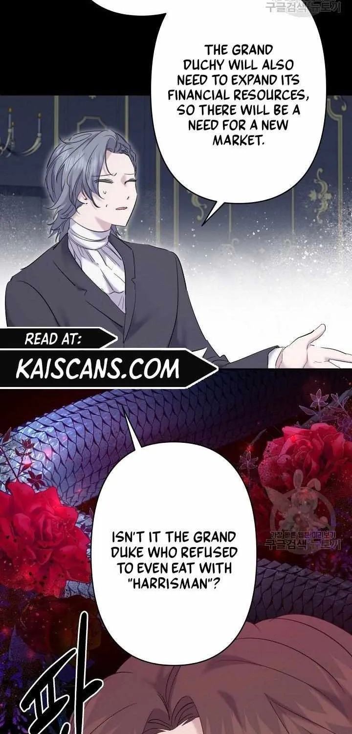 I Need to Raise My Sister Properly Chapter 20 page 47 - 