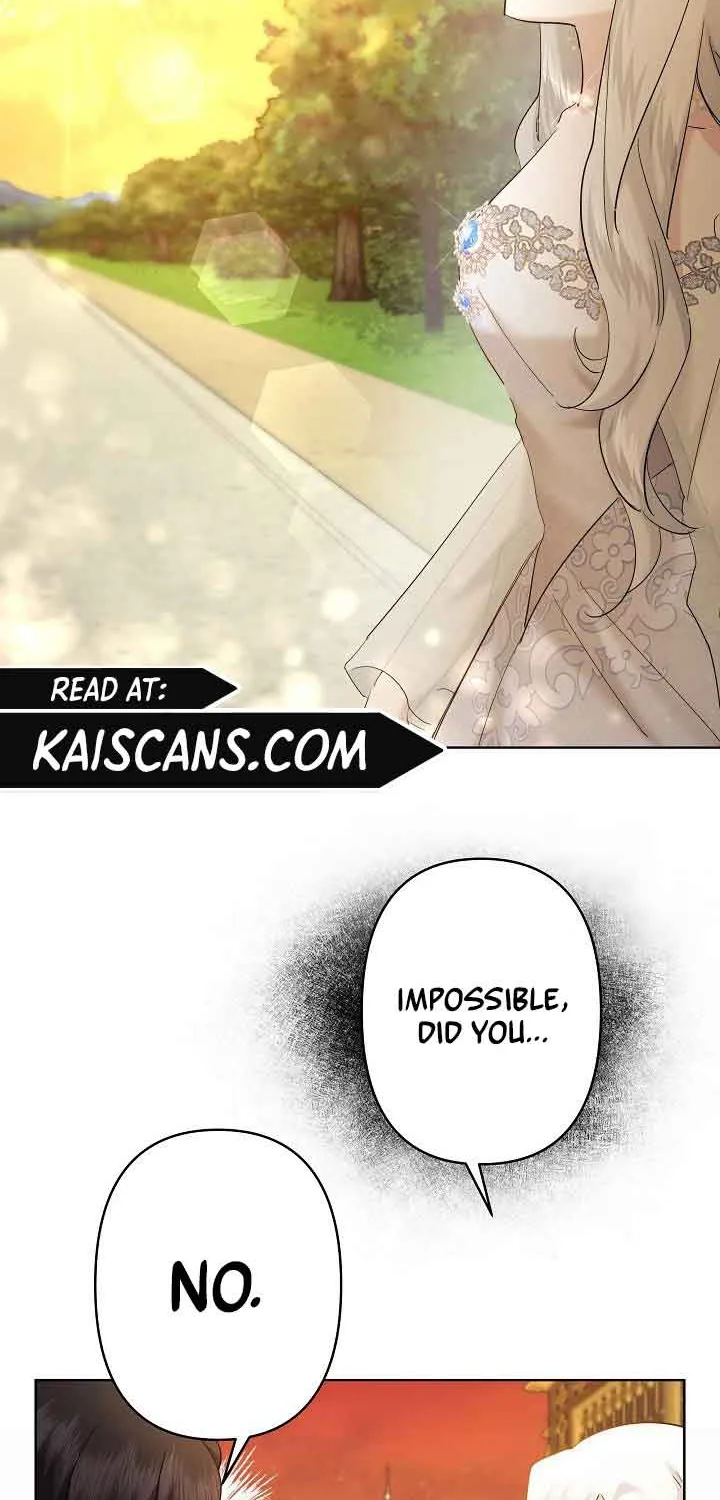 I Need to Raise My Sister Properly Chapter 25 page 46 - 
