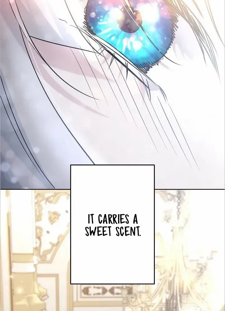 I Need to Raise My Sister Properly Chapter 26 page 49 - 