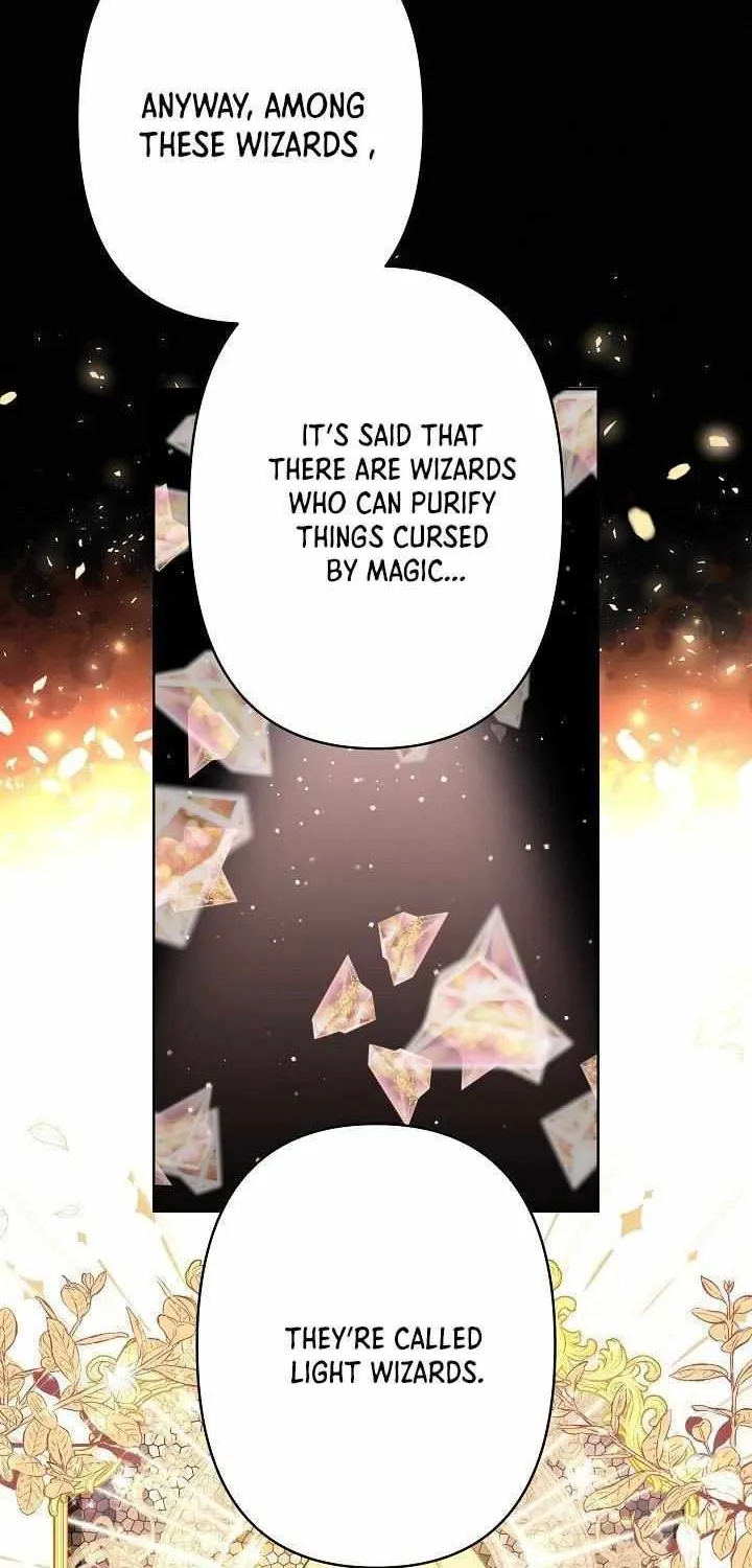 I Need to Raise My Sister Properly Chapter 27 page 41 - 