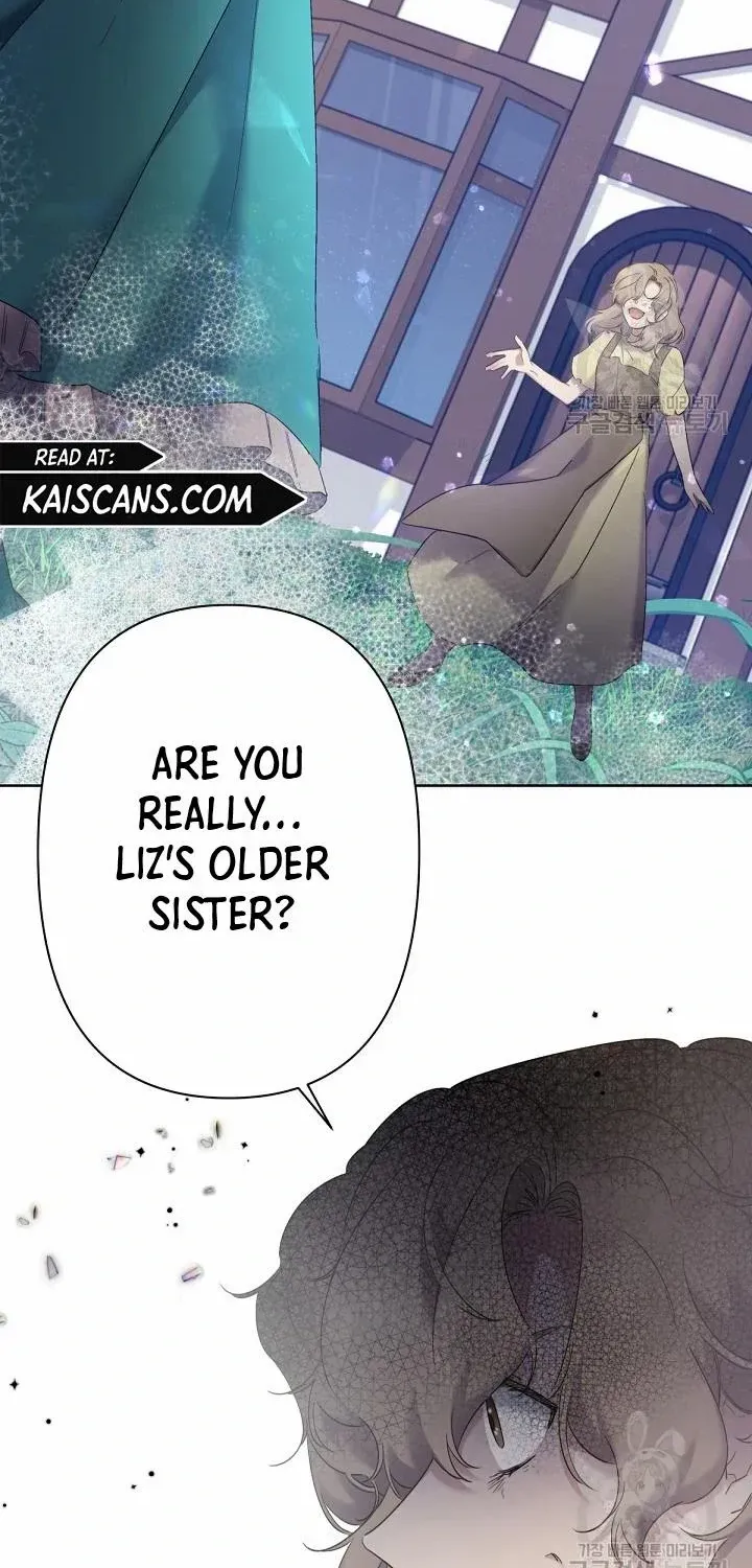 I Need to Raise My Sister Properly Chapter 8 page 42 - 