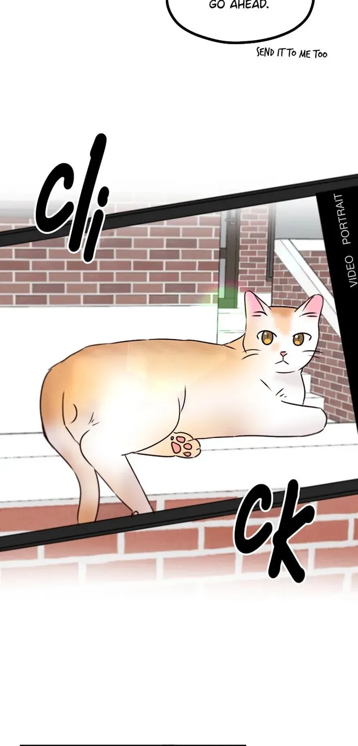 I Only Love Hana Chapter 25 page 18 - 