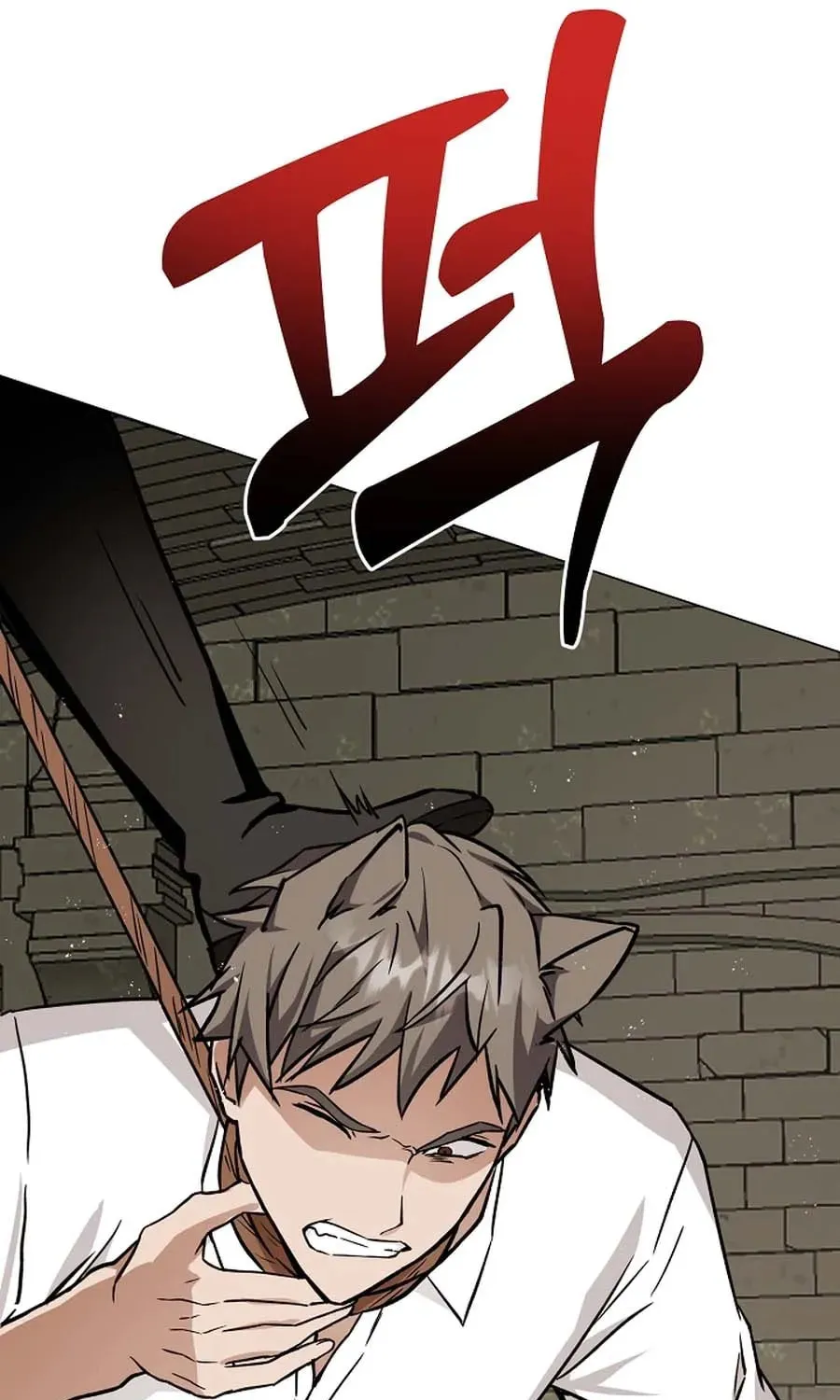 I Opened an Illegal Veterinary Clinic in Another World Chapter 1 page 65 - 