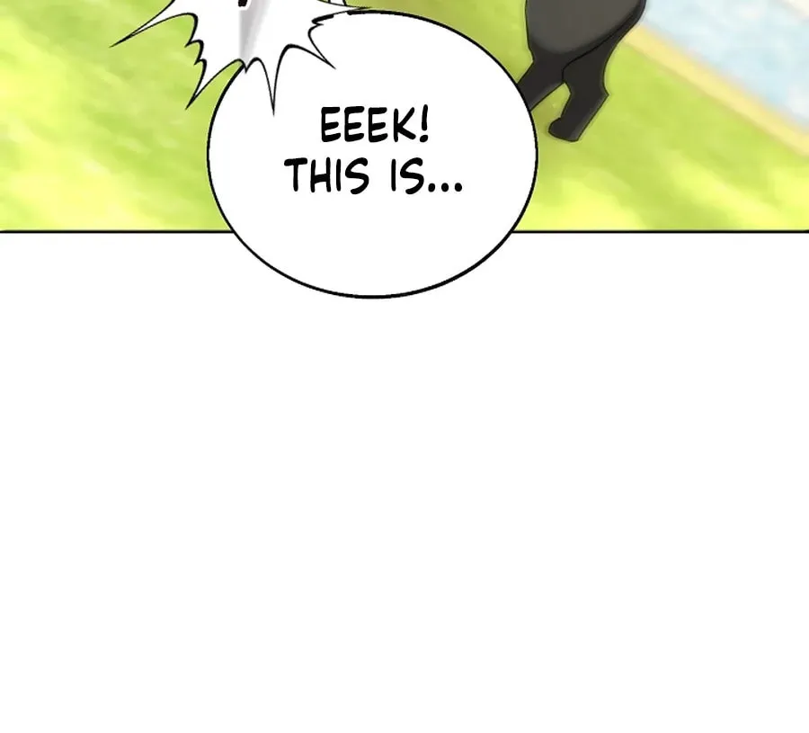 I Opened an Illegal Veterinary Clinic in Another World Chapter 10 page 97 - 