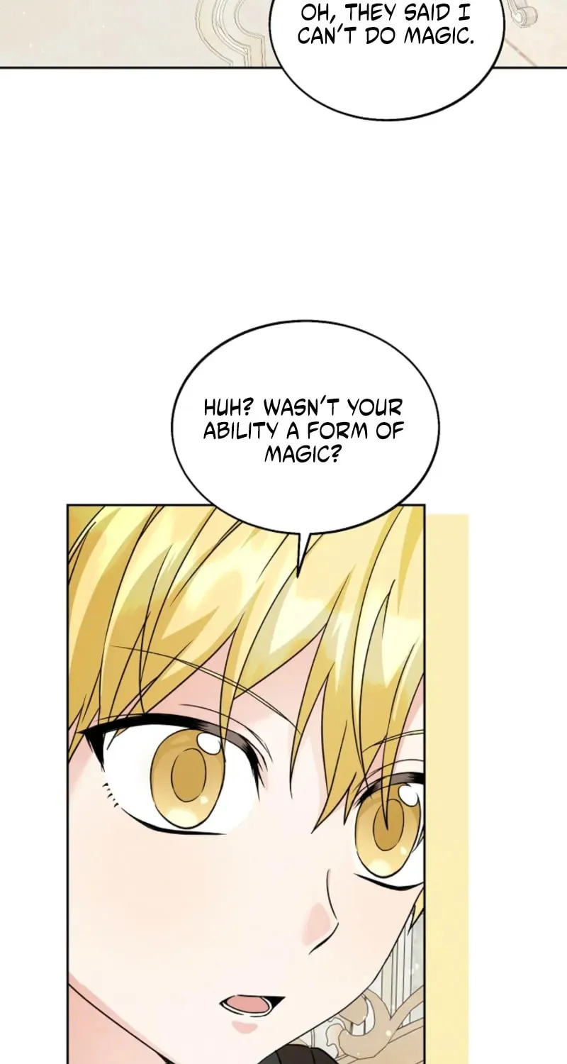 I Opened an Illegal Veterinary Clinic in Another World Chapter 12 page 17 - 