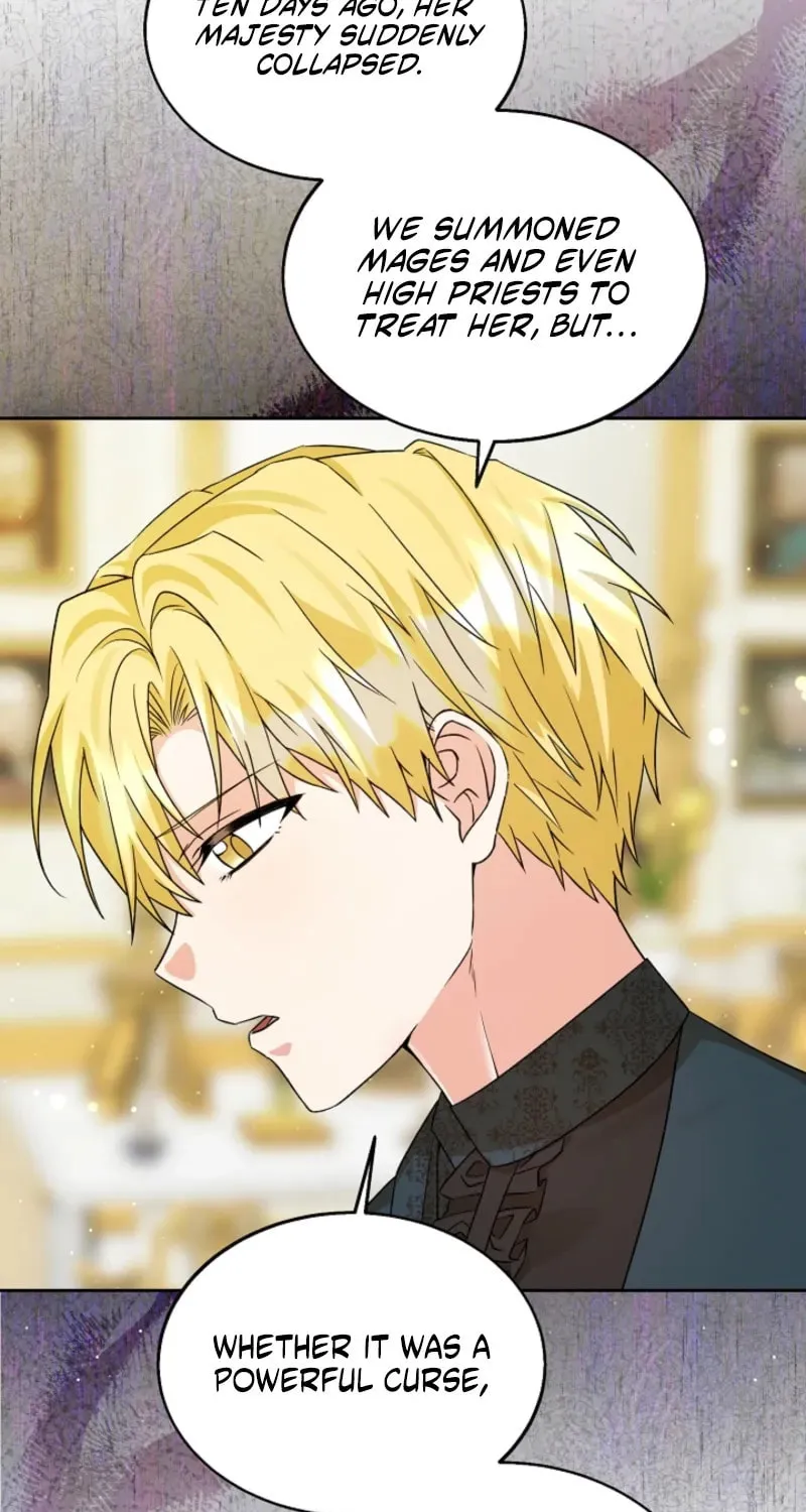 I Opened an Illegal Veterinary Clinic in Another World Chapter 13 page 3 - 