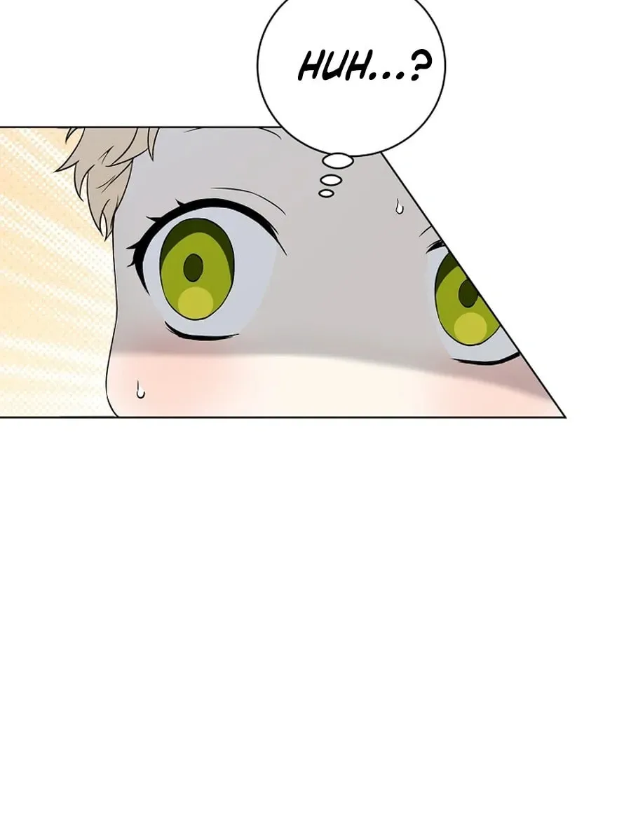I Opened an Illegal Veterinary Clinic in Another World Chapter 2 page 27 - 