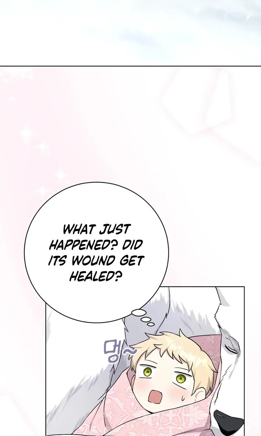 I Opened an Illegal Veterinary Clinic in Another World Chapter 2 page 31 - 