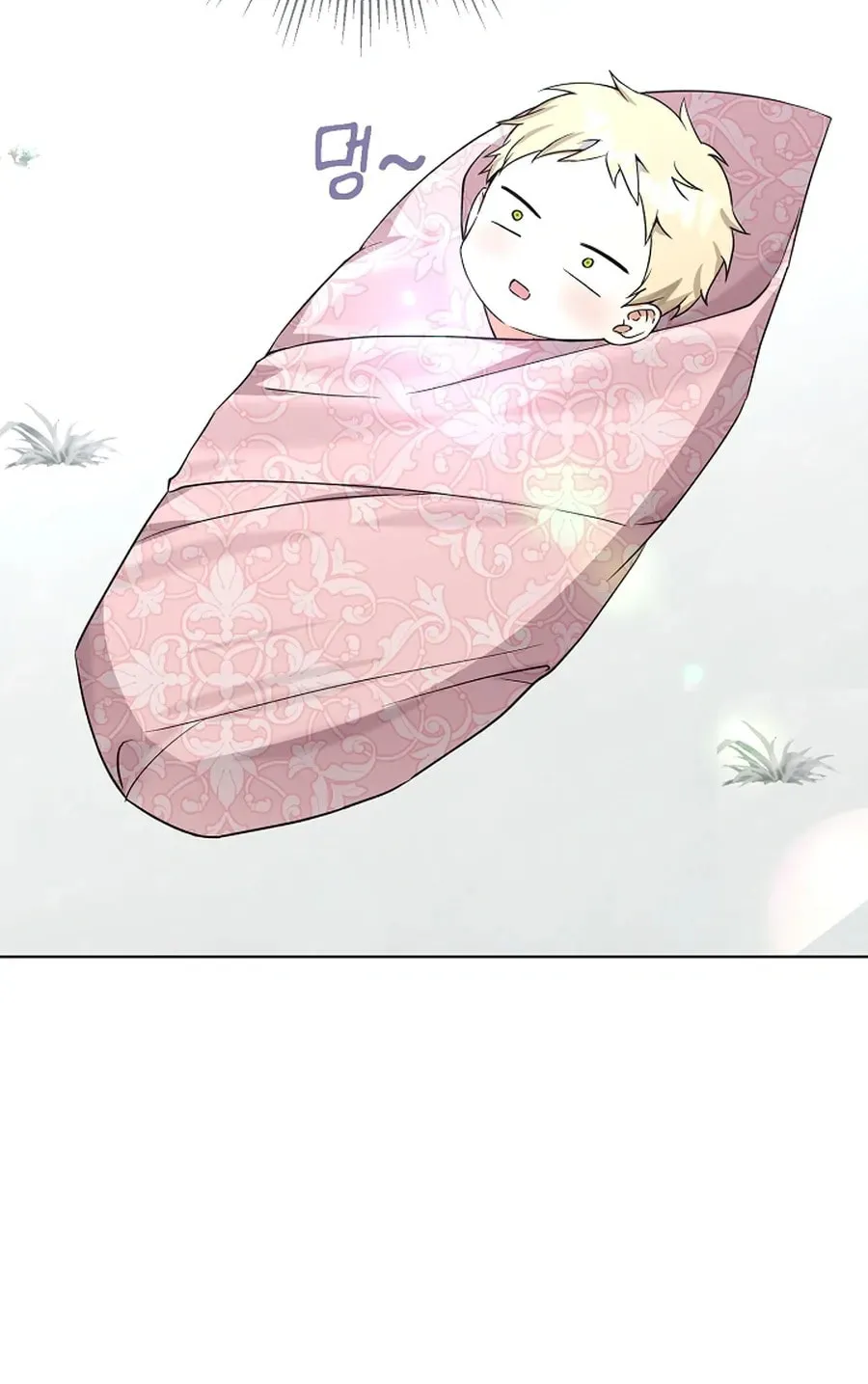 I Opened an Illegal Veterinary Clinic in Another World Chapter 2 page 10 - 