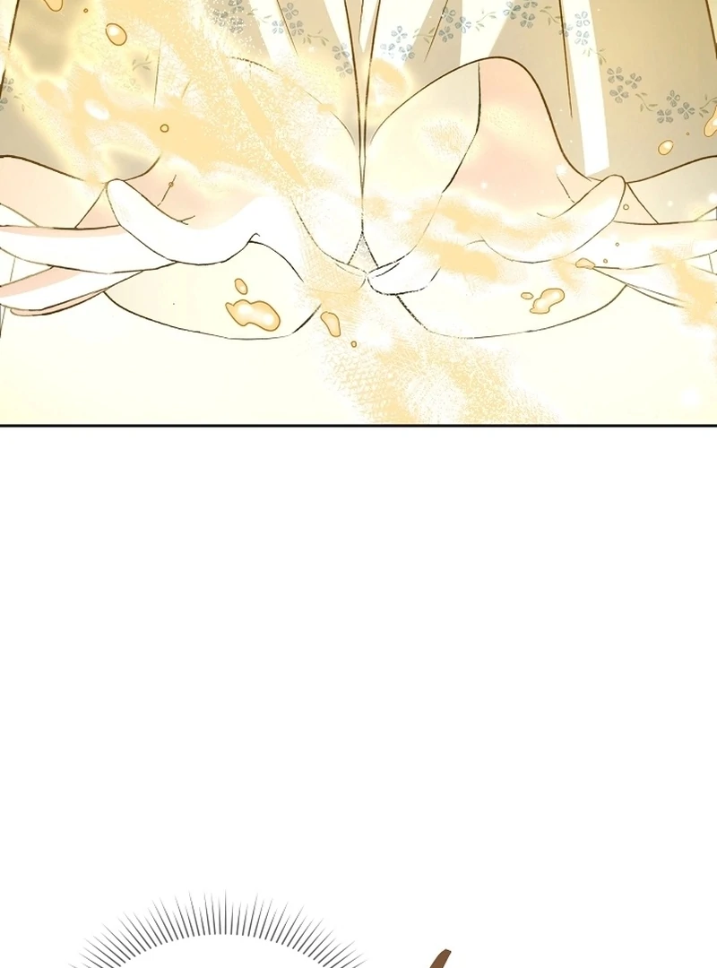 I Opened an Illegal Veterinary Clinic in Another World Chapter 22 page 17 - 