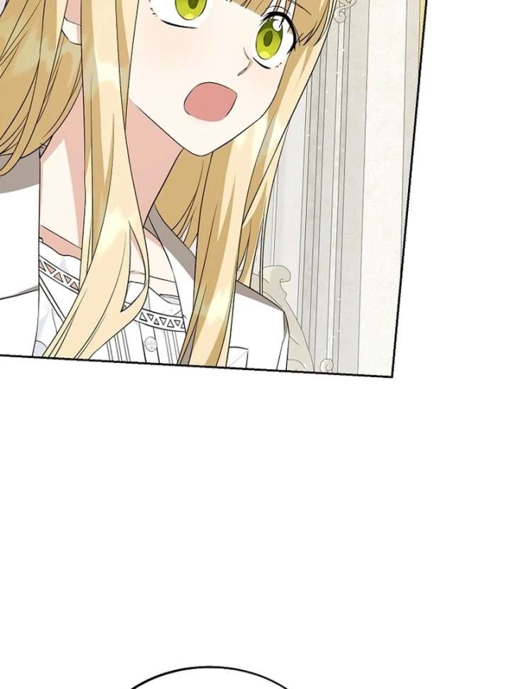 I Opened an Illegal Veterinary Clinic in Another World Chapter 27 page 55 - 